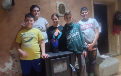 Kupovina peći na drva  porodici Kačikola