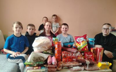 KUPOVINA NAMIRNICA PORODICI STEVANOVIĆ – USPEŠNA AKCIJA