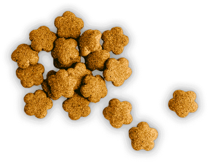 uspeh 1