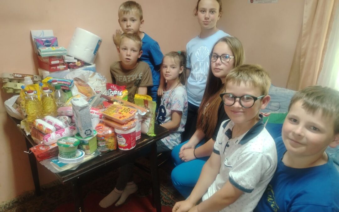 Kupovina namirnica porodici Stevanović – uspešna akcija